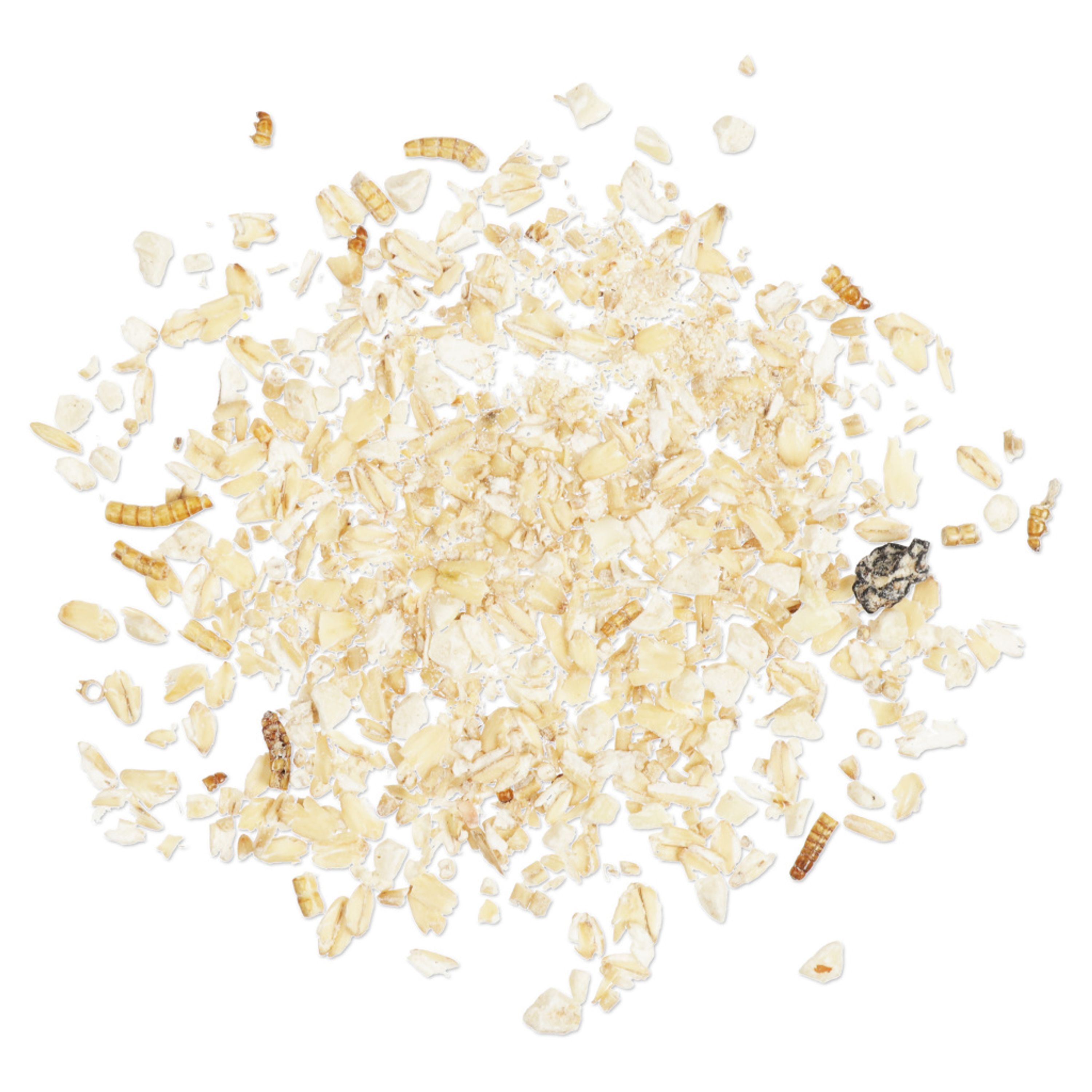 Premium Fettfutter mit Mehlwürmern 2,5 kg | Vogelfutter | CJ Wildlife